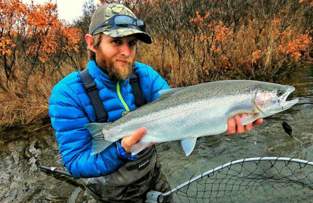 King Salmon Lodge - Bear viewing and fishing