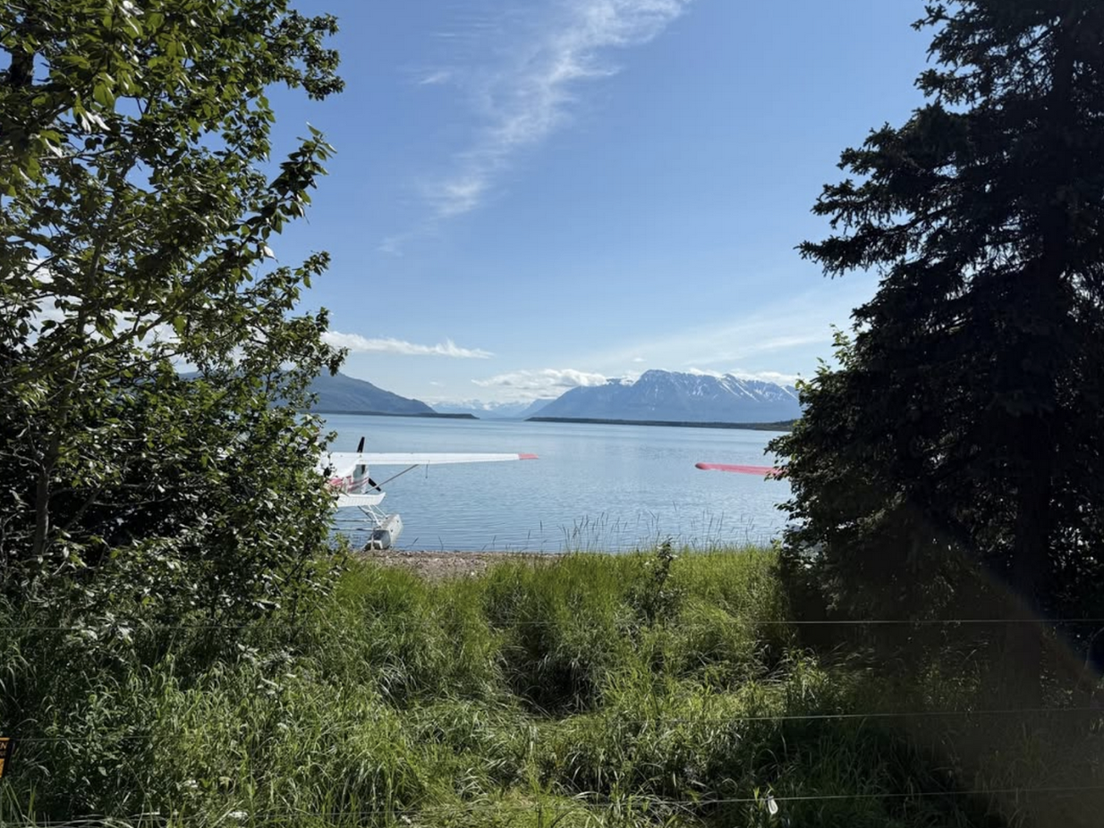 A small floatplane rests on the shoreline of a calm lake in Alaska, surrounded by tall grass and trees, with snow-capped mountains and a clear blue sky in the background.