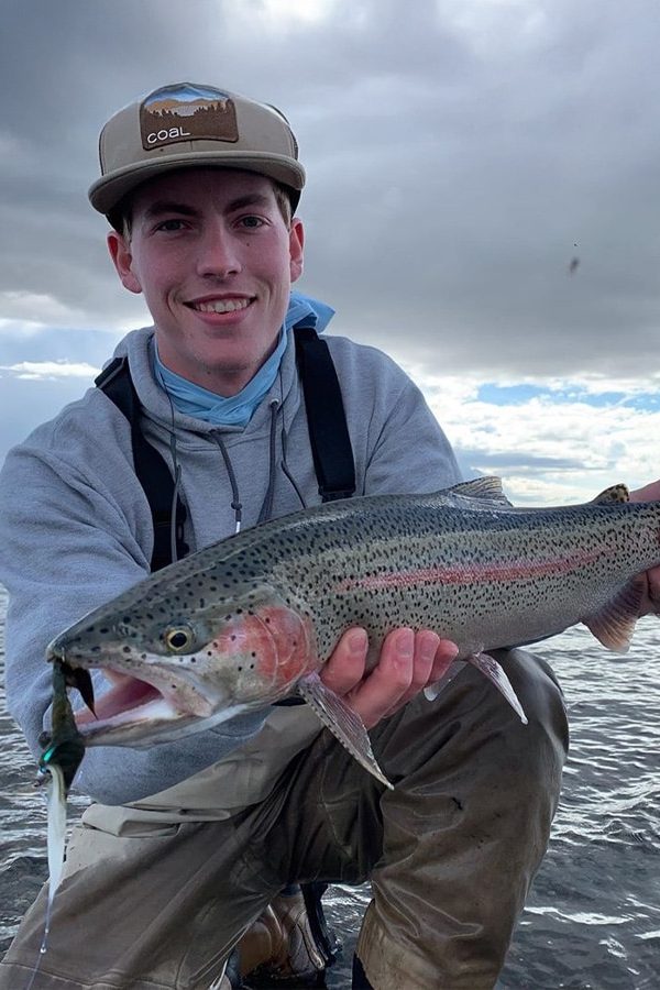 FA gallery 1 to 4 images4